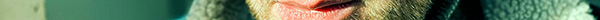 David Zavodny – Detail 16